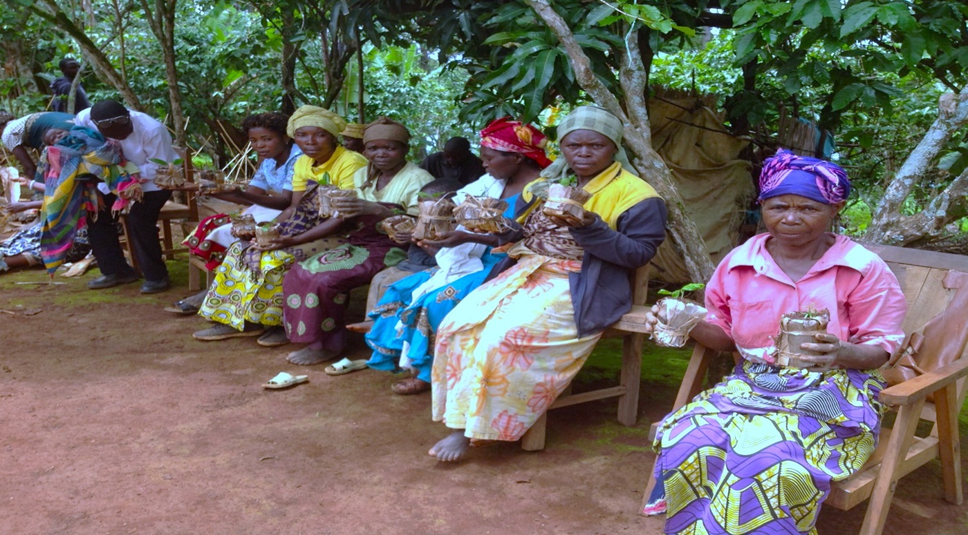Kivu  Ethnobotanical Garden Foundation 